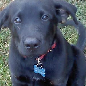 Meet your Posher, Sherry